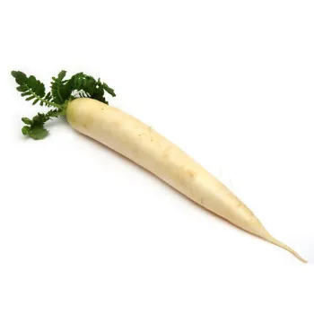 Organic Radish